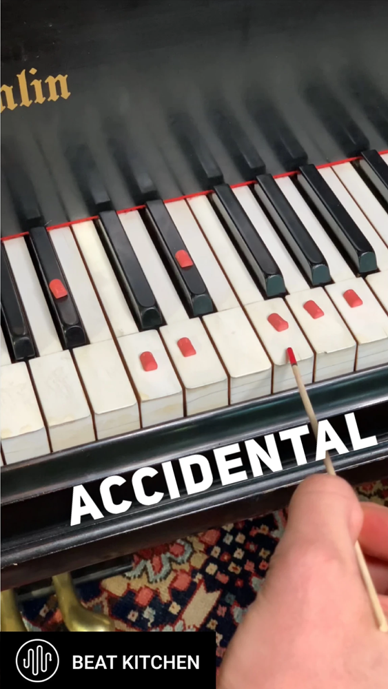 Accidentals: sharps and flats