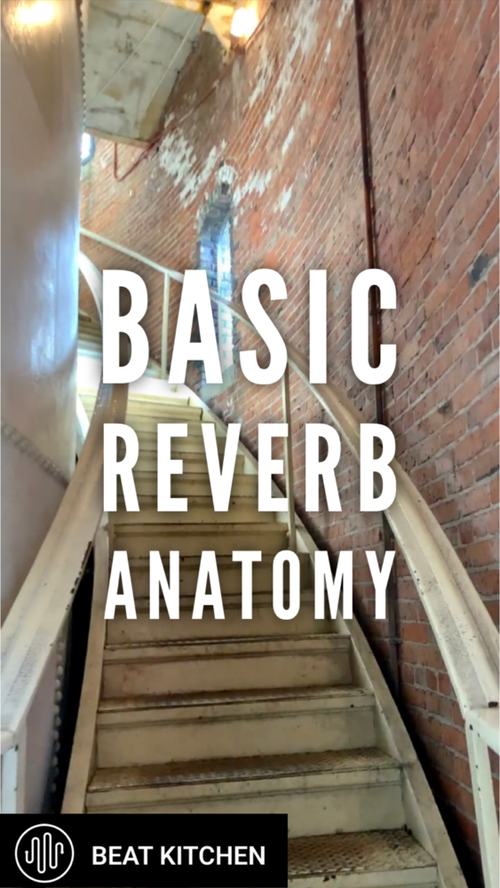 Video thumbnail: After the onset of the original sound, the anatomy of a reverb occurs in three distinct stages.