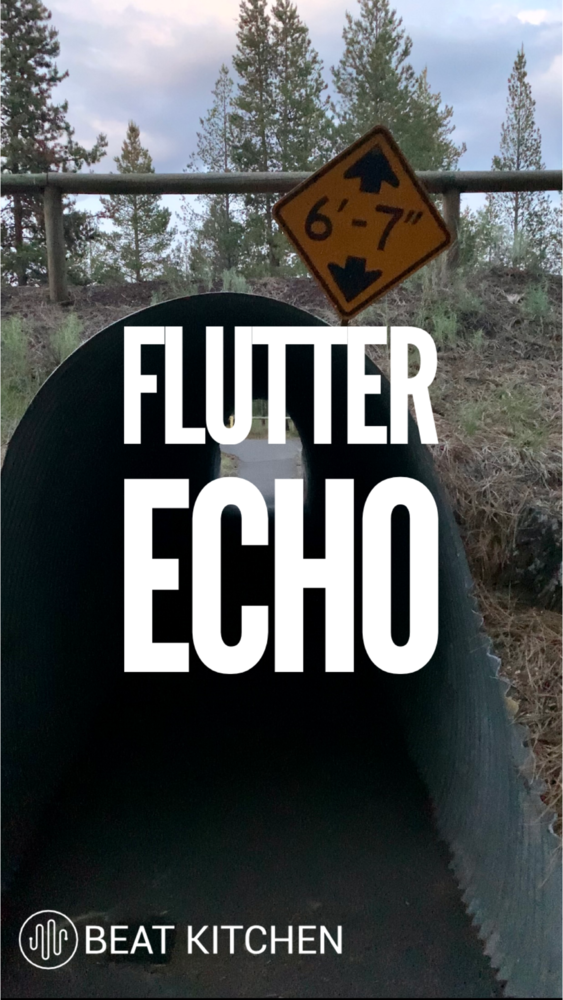 Flutter Echo