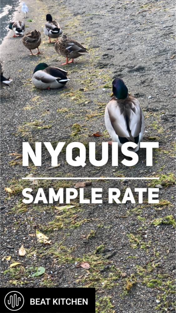 Nyquist Frequency